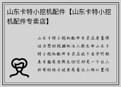 山东卡特小挖机配件【山东卡特小挖机配件专卖店】